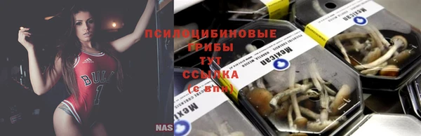 гидра Алексин