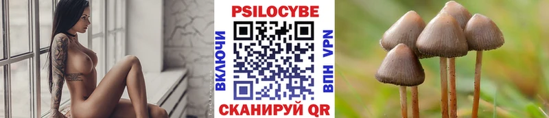 где найти наркотики  Богородск  Псилоцибиновые грибы прущие грибы 